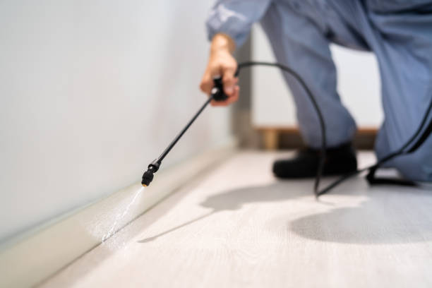 Rodent Entry Point Assessment in Millbrae