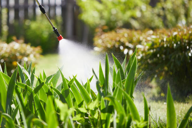 Tamper-Resistant Bait Stations for Rodents in Millbrae
