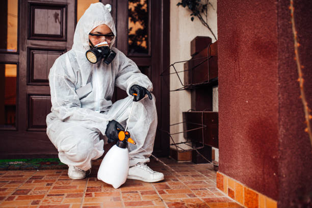Attic and Crawl Space Rodent Treatment in Millbrae
